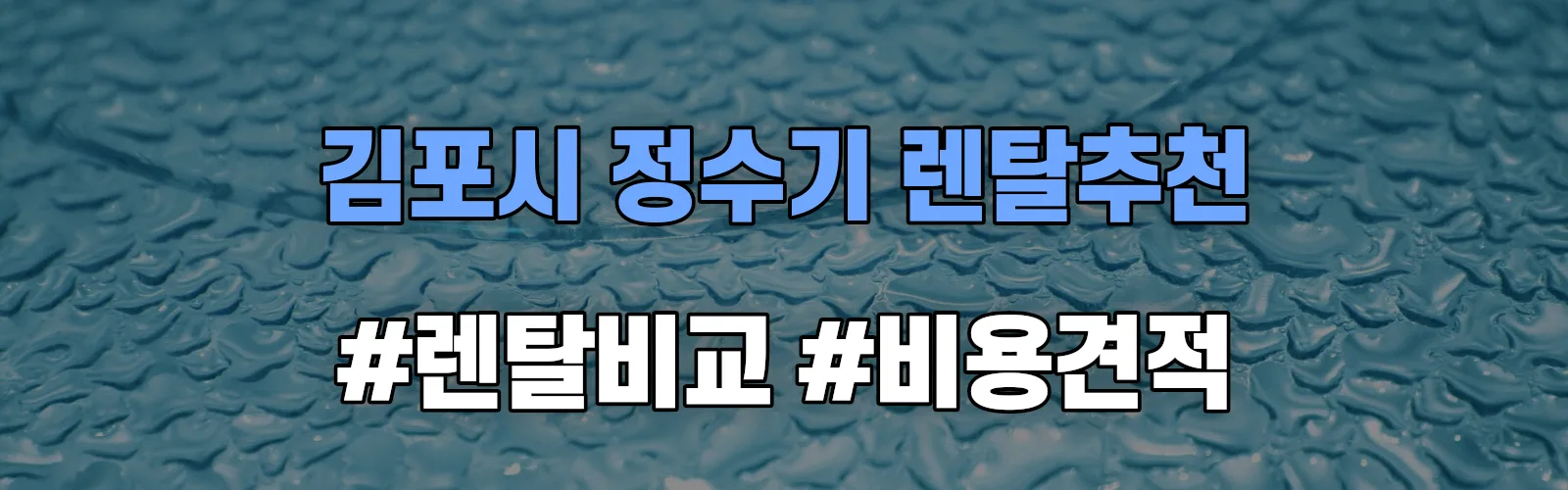 김포시 정수기 렌탈 추천 비교 견적 안내