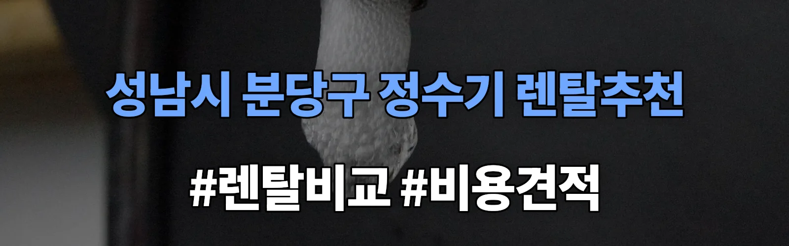 성남시 분당구 정수기 렌탈 추천 비교 견적 안내