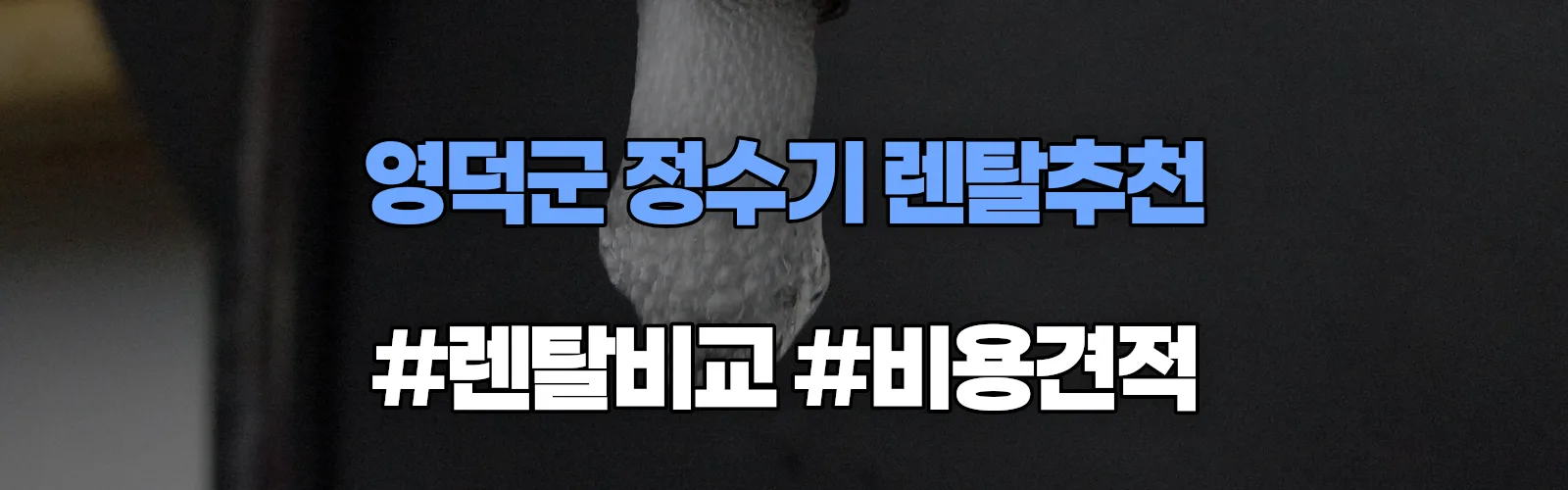 영덕군 정수기 렌탈 추천 비교 견적 안내