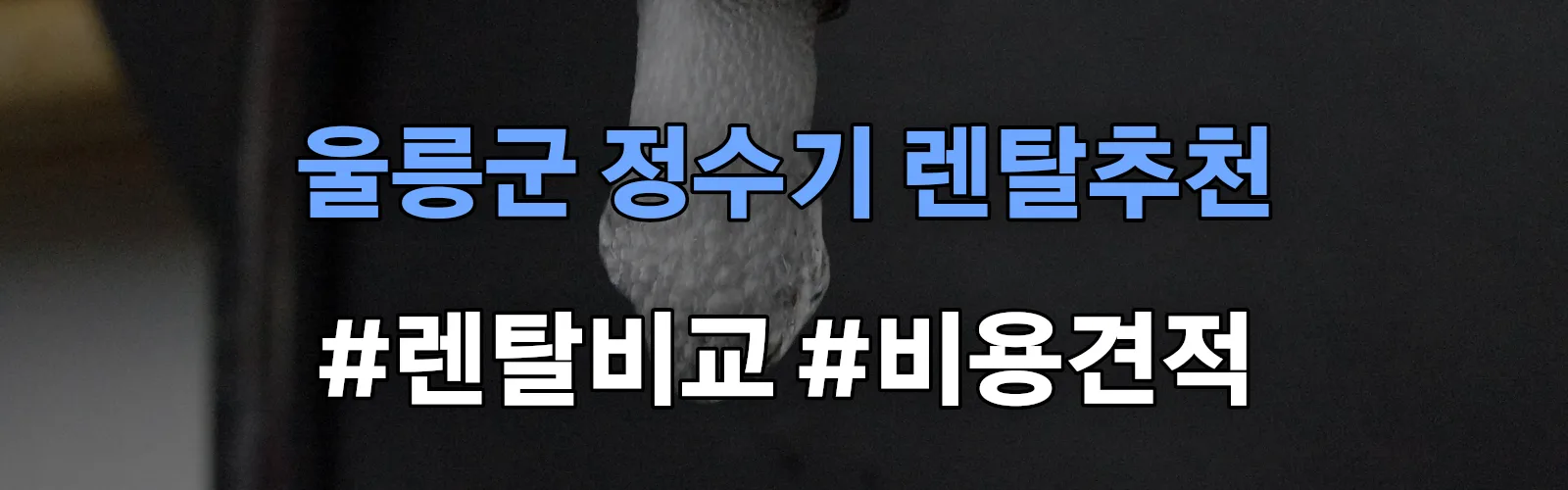 울릉군 정수기 렌탈 추천 비교 견적 안내