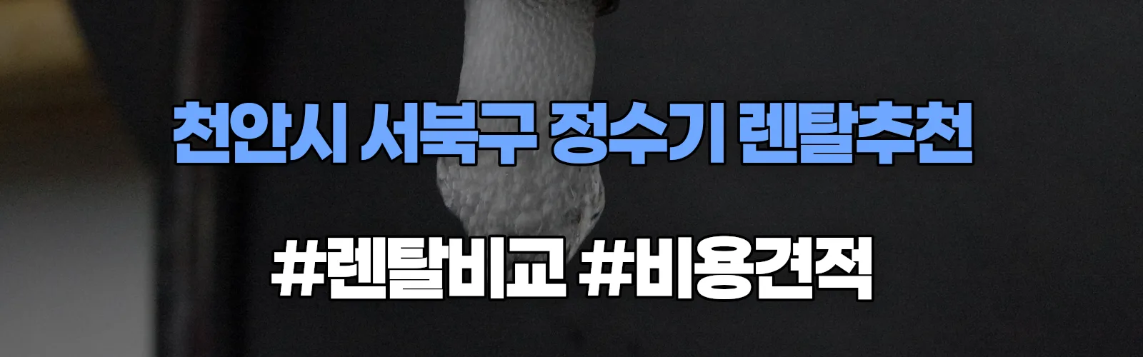 천안시 서북구 정수기 렌탈 추천 비교 견적 안내