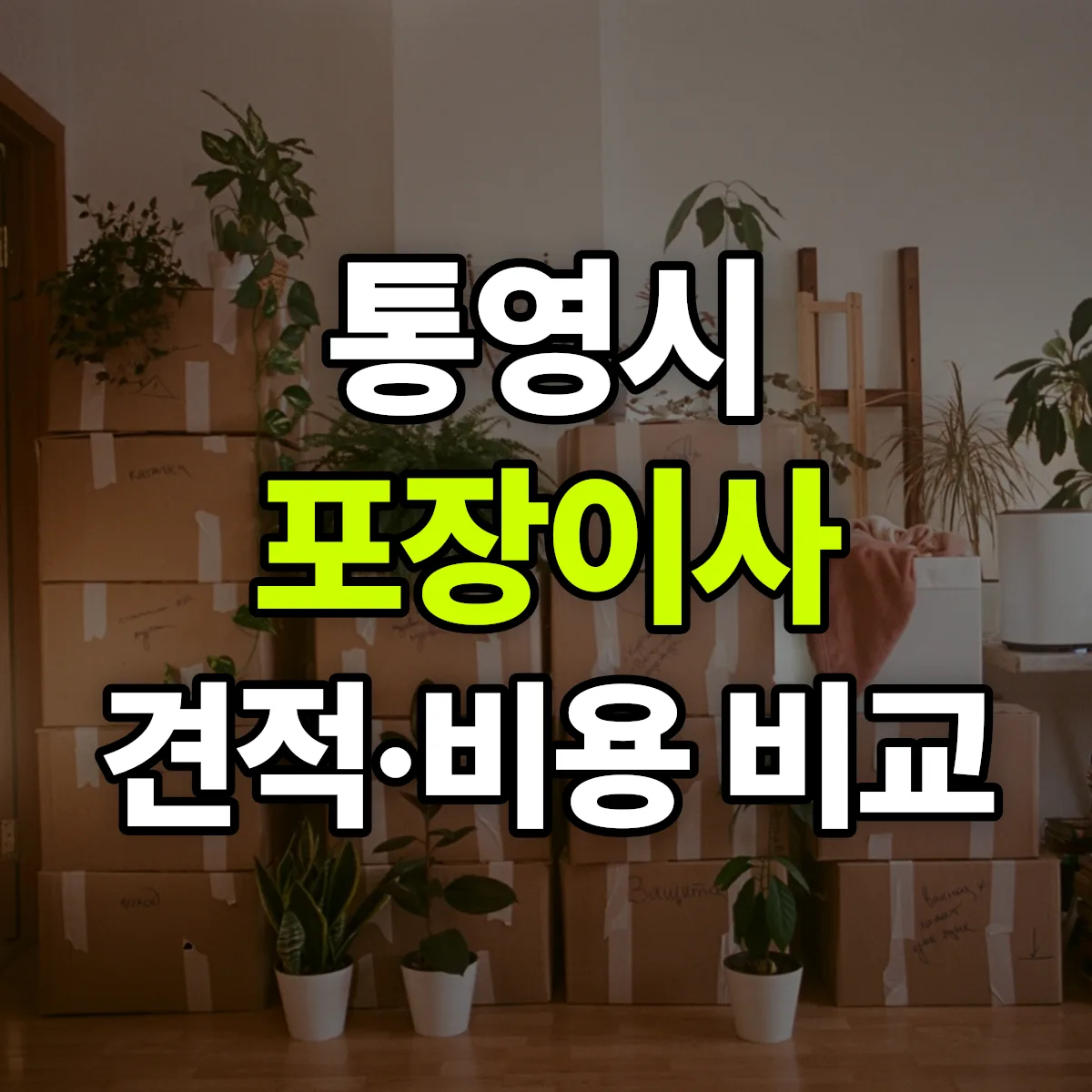 통영 포장이사 견적 비교