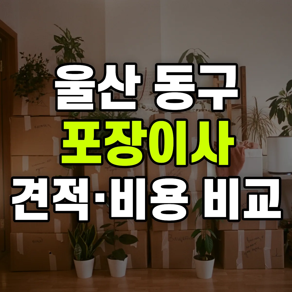울산 동구 포장이사 견적 비교