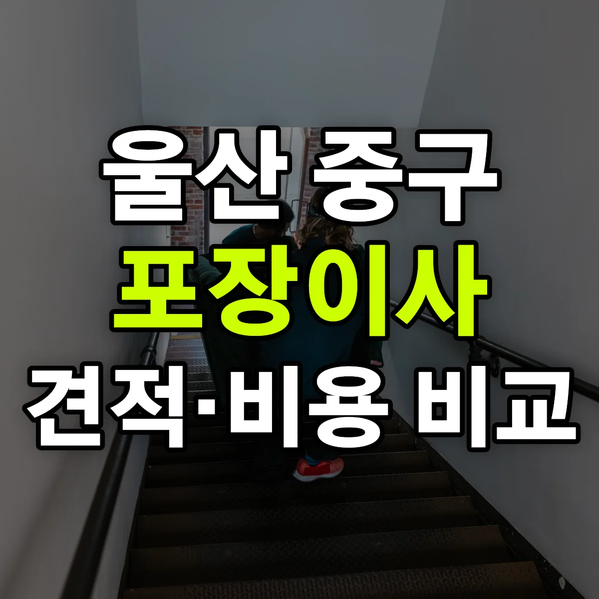 울산 중구 포장이사 견적 비교