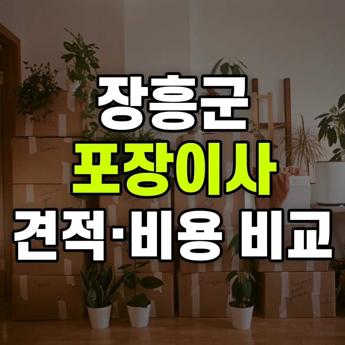 장흥 포장이사 견적 비교
